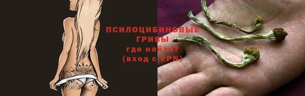 mdpv Арсеньев