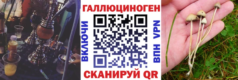 mega ТОР  Сосенский  Галлюциногенные грибы прущие грибы 